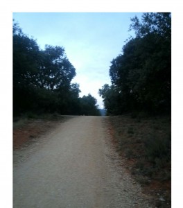 Camino trail