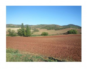 red spanish soil